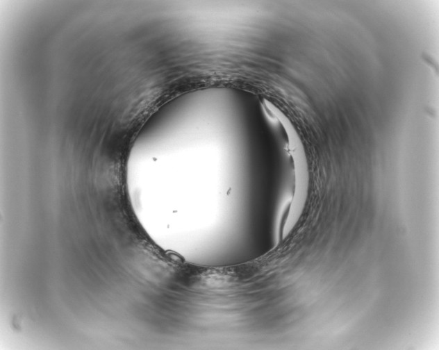 X0000093240756200710241255