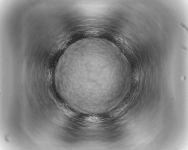 X0000093240759200710241255