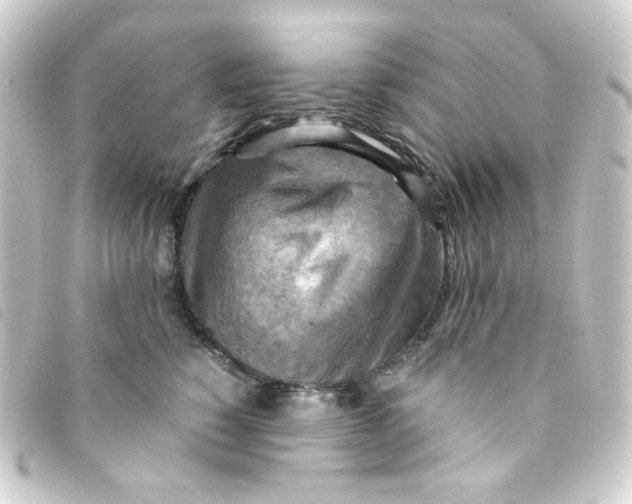 X0000093240760200710241255