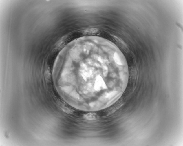 X0000093240761200710241255