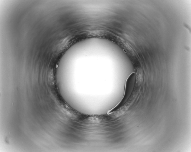 X0000093240764200710241255