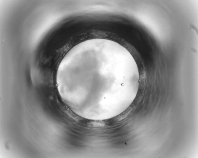 X0000093240765200710241255