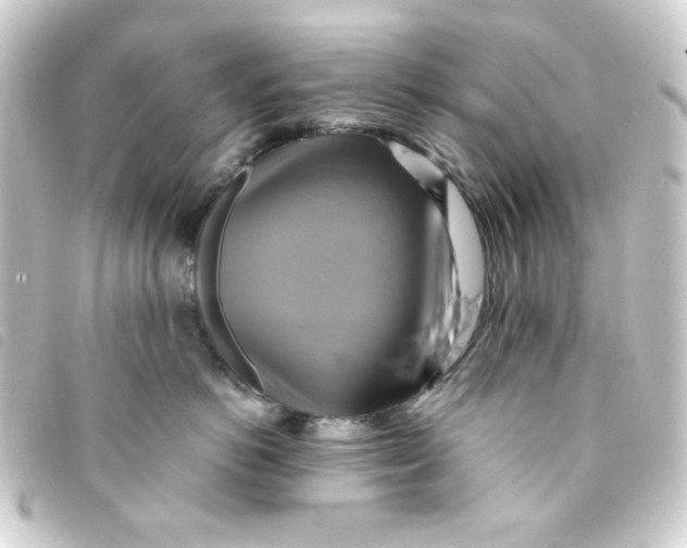 X0000093240766200710241255