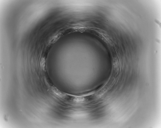 X0000093240767200710241255