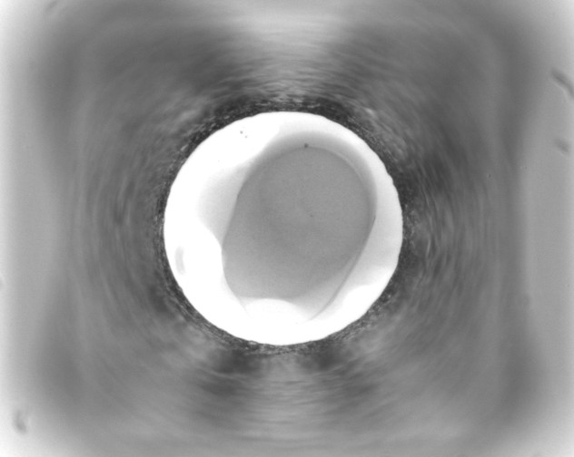 X0000093240769200710241254