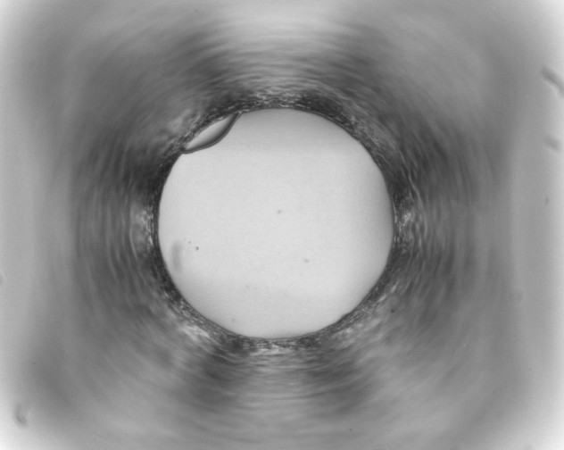 X0000093240772200710241254