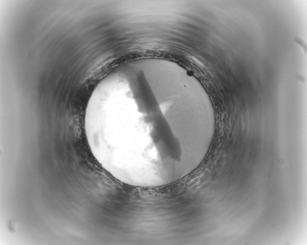 X0000093240774200710241254