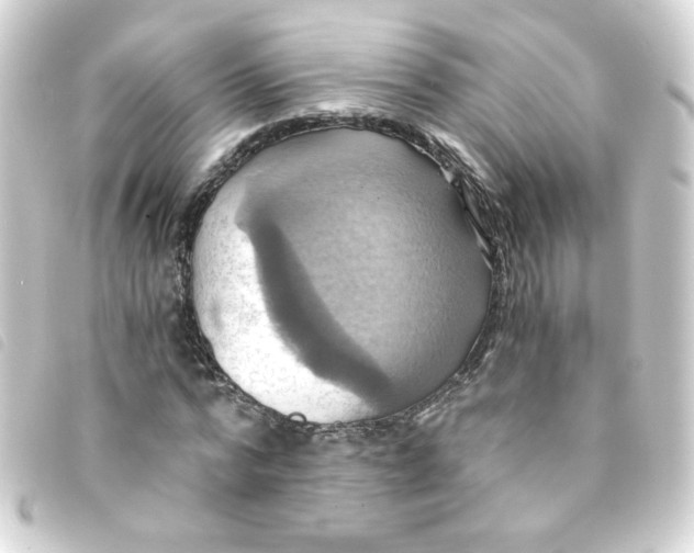 X0000093240776200710241254