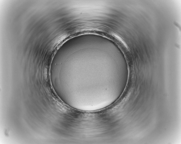 X0000093240777200710241254