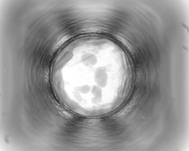 X0000093240778200710241254