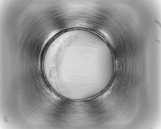 X0000093240780200710241254