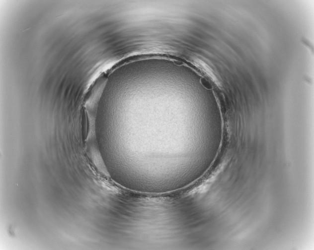 X0000093240781200710241254