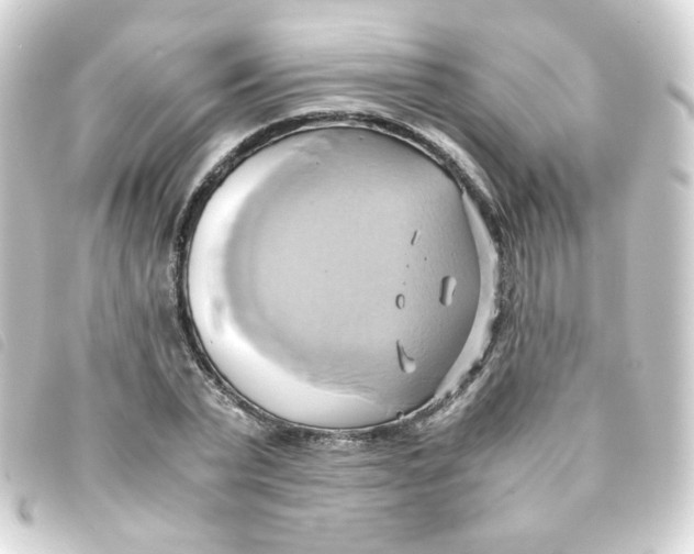 X0000093240783200710241254