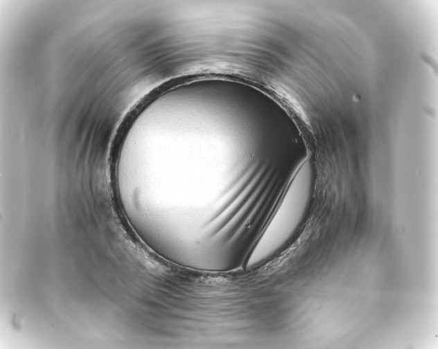 X0000093240784200710241254