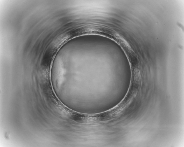 X0000093240785200710241254