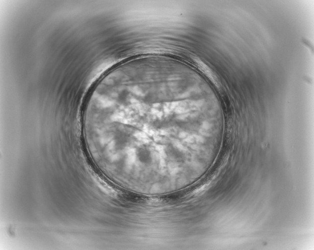 X0000093240787200710241254