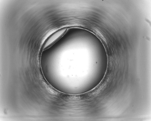 X0000093240789200710241254