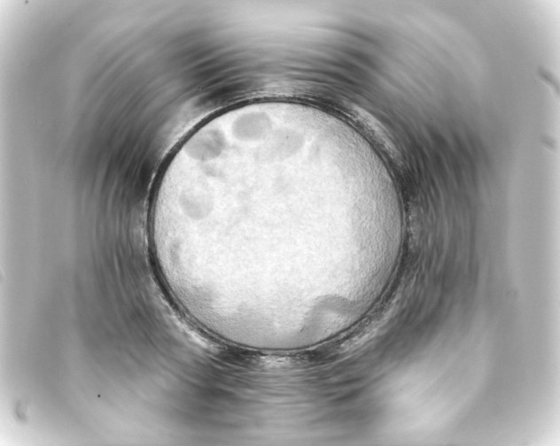 X0000093240794200710241254