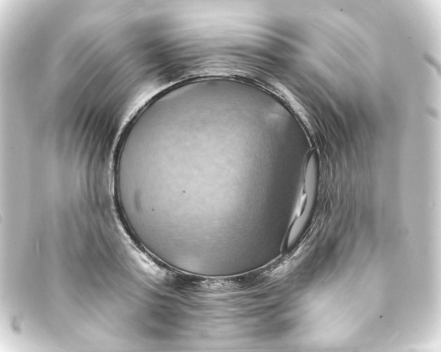 X0000093240795200710241254