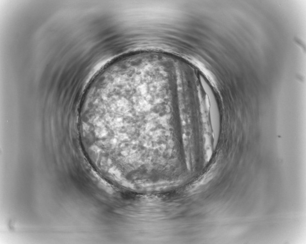 X0000093240799200710241254