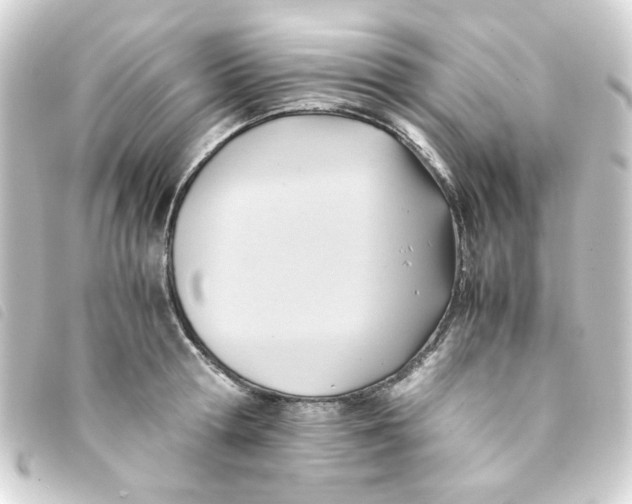 X0000093240802200710241254