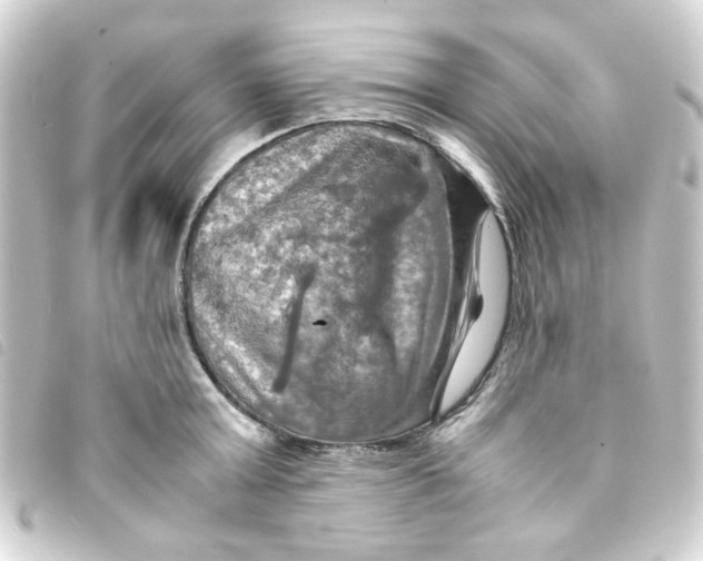 X0000093240803200710241254