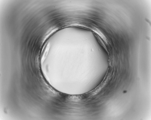 X0000093240806200710241254