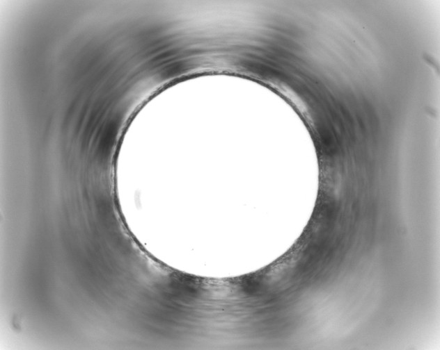 X0000093240807200710241254