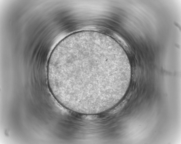 X0000093240808200710241254