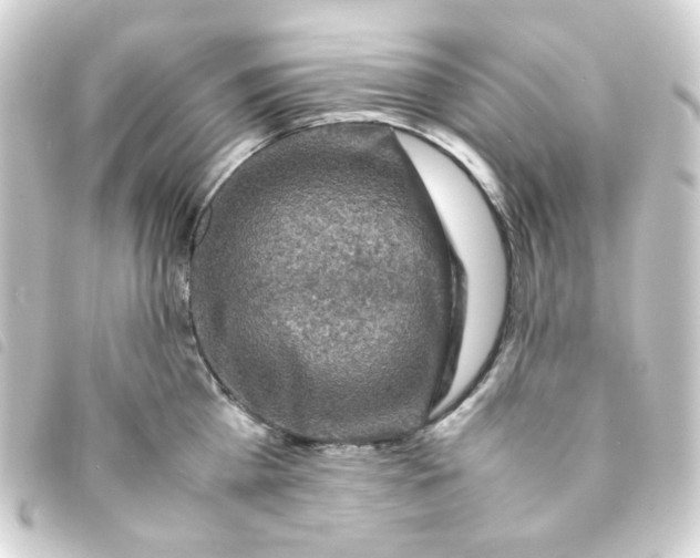 X0000093240809200710241254