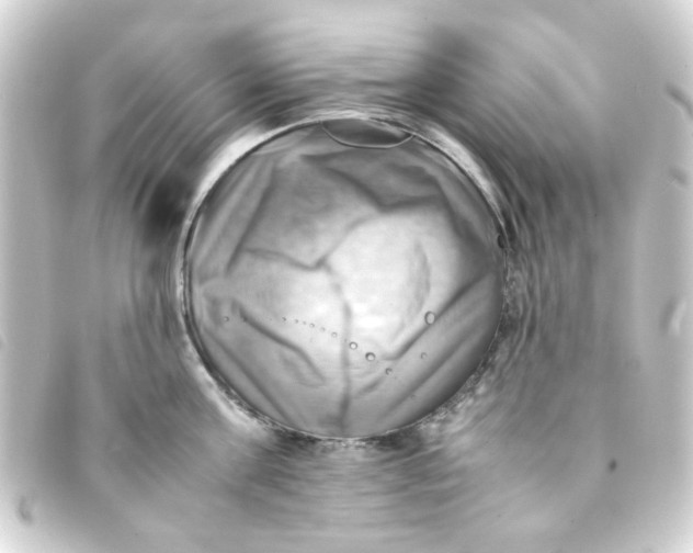 X0000093240811200710241254