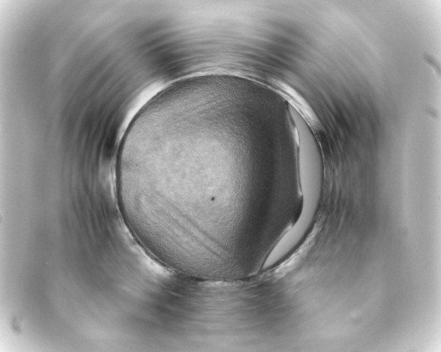 X0000093240812200710241254