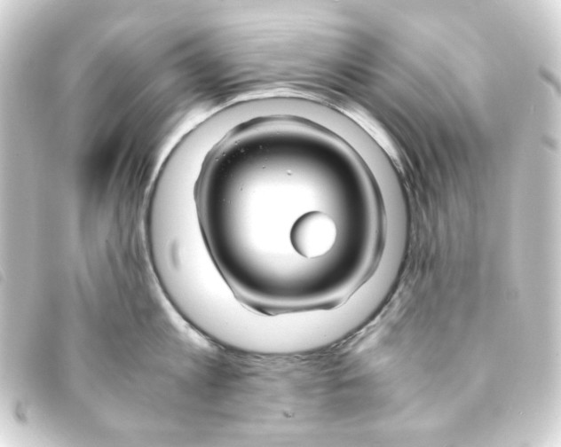 X0000093240813200710241254