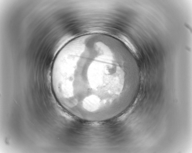 X0000093240814200710241254