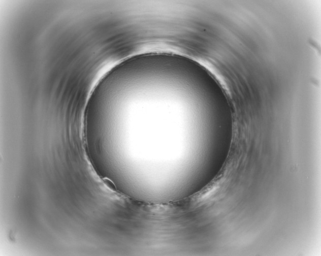 X0000093240815200710241254