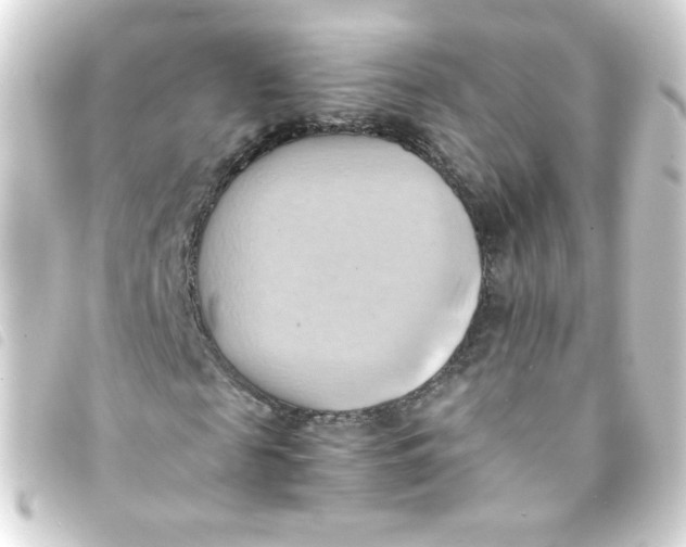 X0000093240817200710241253