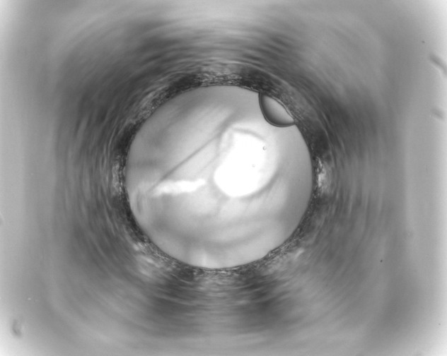 X0000093240819200710241253