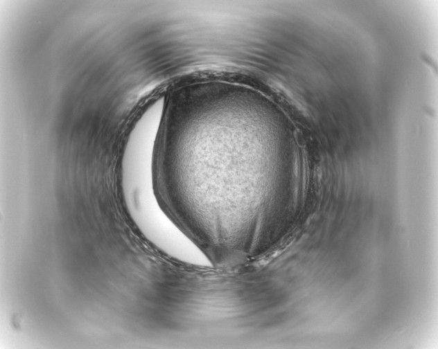 X0000093240822200710241253