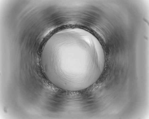 X0000093240823200710241253