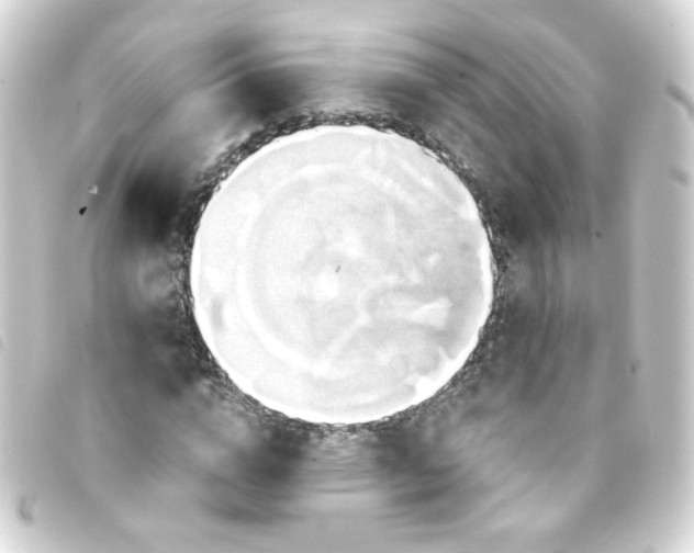 X0000093240824200710241253