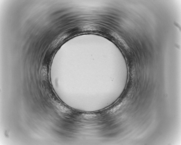 X0000093240825200710241253