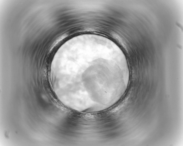 X0000093240827200710241253