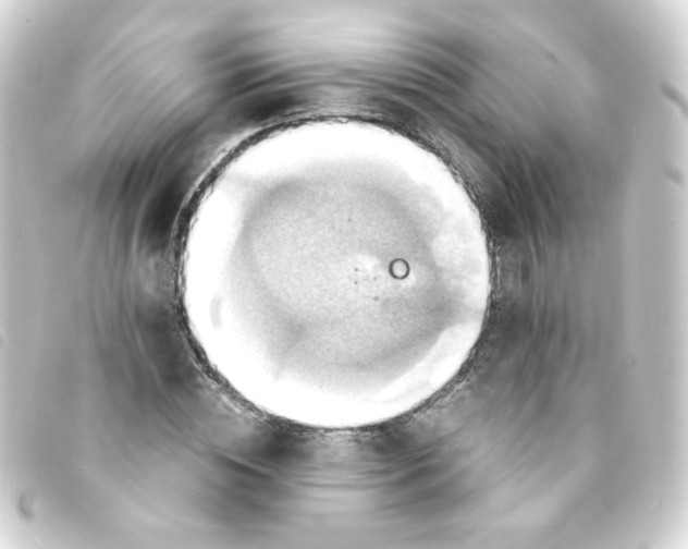 X0000093240828200710241253