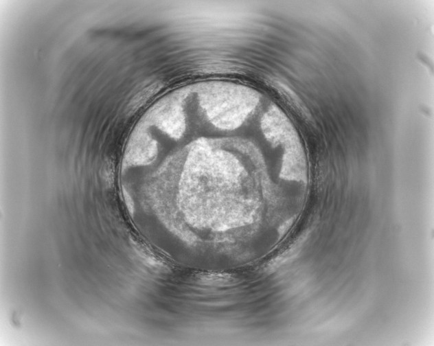 X0000093240833200710241253