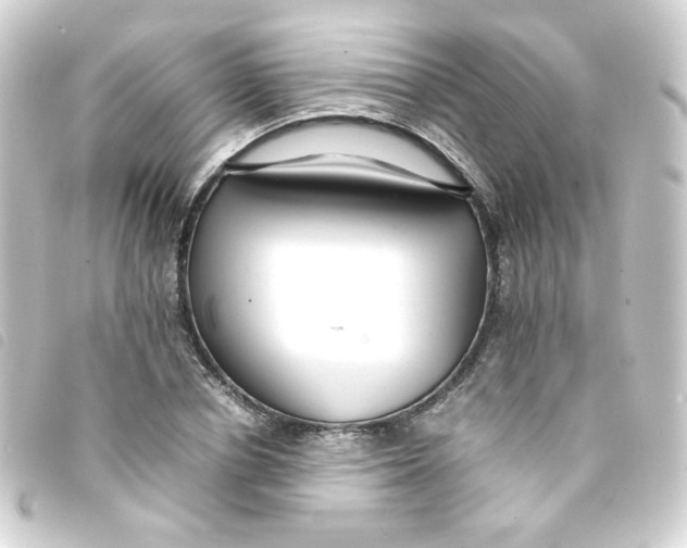 X0000093240834200710241253