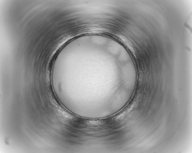 X0000093240835200710241253