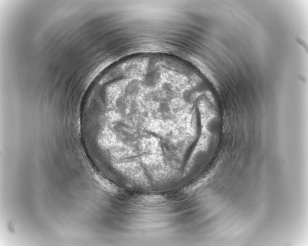 X0000093240837200710241254