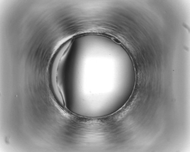 X0000093240838200710241254