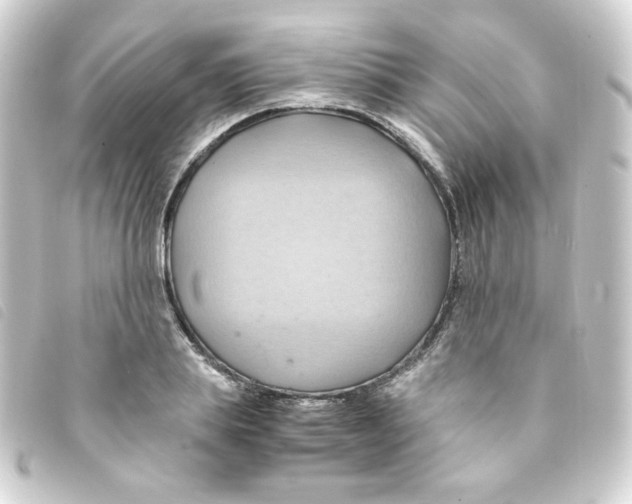 X0000093240839200710241254