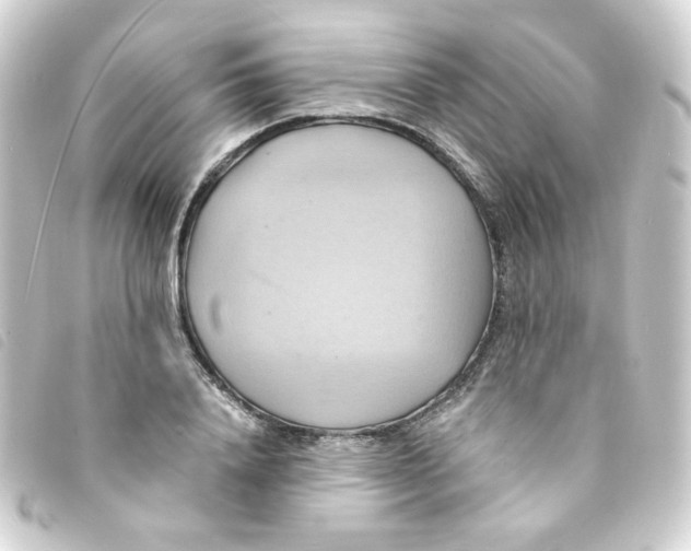 X0000093240840200710241254